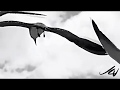 Laurie Anderson The Beginning Of Memory mp4