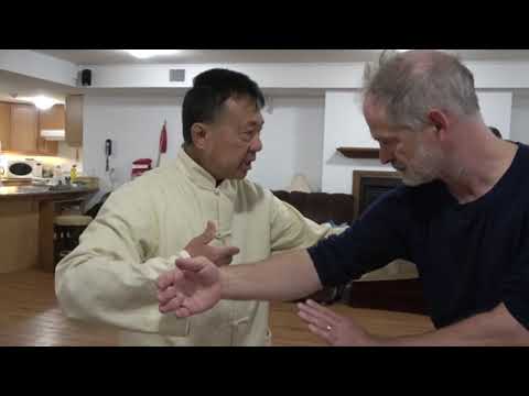Tung Style Push Hands Introduction
