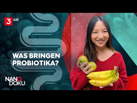 Gesunde Darmflora: Wissenschaft oder Hype? | NANO Doku