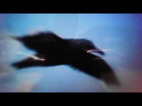 Slow Pulp – Spill