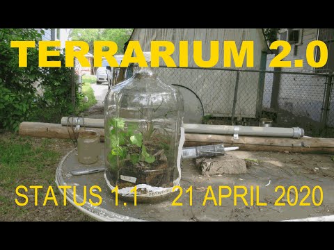 Terrarium 2.0 Status 1.1 Cracked Vessel
