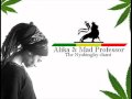 🎤 Alika & Mad Professor - The Nyabinghy Chant with Lyrics 🔊 2009