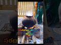 Sankranthi Vachinde Tummeda Song Lyrics In Telugu Soggadi Pellam Movie Songs Shorts