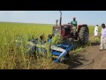 YAPEL CDG 300 REAPER BINDER SICKLE HARVESTING MACHINE SESAME HARVESTING VIDEO 4 SUDAN 20 10 2016