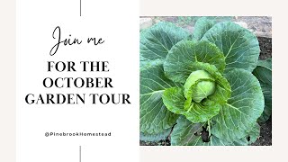 What are we still growing in October?