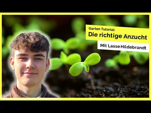 RWH on Stage 🎙 [02] - Die richtige Anzucht im Garten
