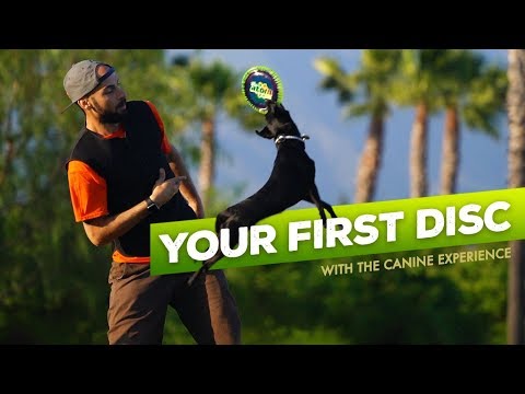 SuperSonic 215 K9 Candy– Hero Disc USA