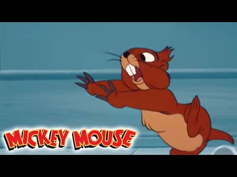 Micky Maus Kicherkracher - Kurzfilm: Pluto und der Maulwurf | Disney Channel