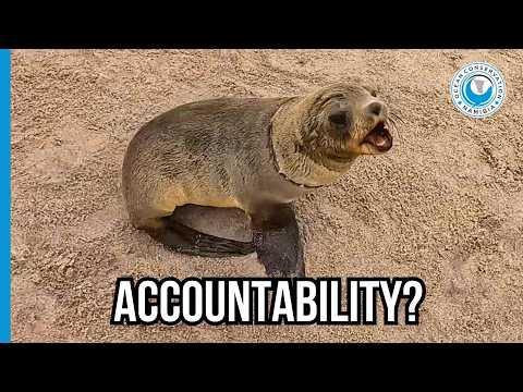 We Can’t Police This Fast Enough