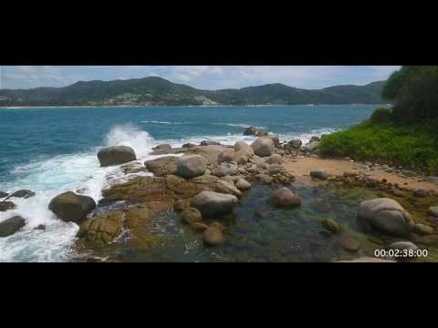 We are from the FUTURE