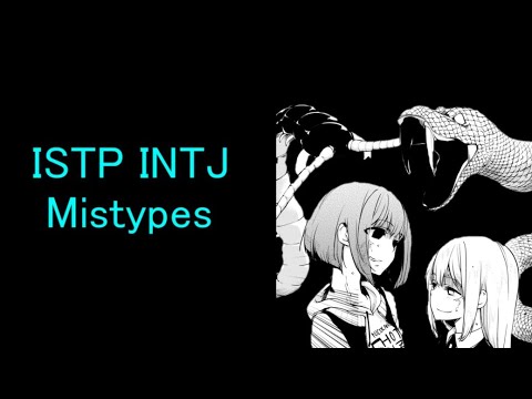 ISTP INTJ Mistypes (INTP)