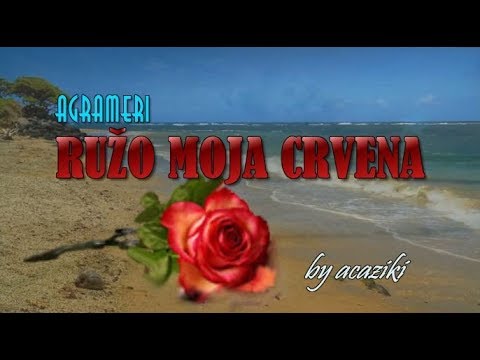 RUŽO MOJA CRVENA - Agrameri