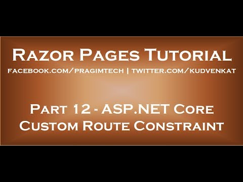 ASP NET core custom route constraint