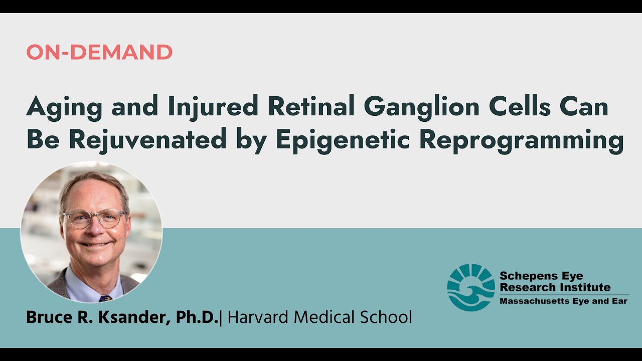Journal Club | Aging & Injured Retinal Ganglion Cells Can Be Rejuvenated by Epigenetic Reprogramming