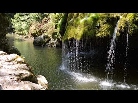 Vasile Timiş (1922-2014): Three dances from Banat for string orchestra