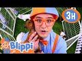 Blippi S Mini Blippi S Puppy Play Date ‍ Blippi Educational Videos For Toddlers