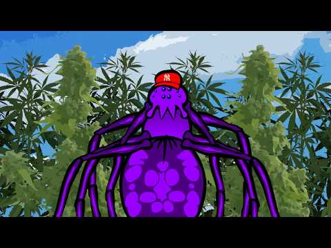 That's Juvey? - OG Gangster Spider - (Music Video)
