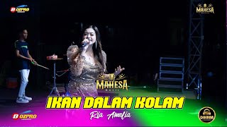 Download lagu IKAN DALAM KOLAM - RIA AMELIA MAHESA MUSIC || GEBYAR SEDEKAH BUMI LASKAR BUANA KANUNG 2023 mp3 Download lagu IKAN DALAM KOLAM - RIA AMELIA MAHESA MUSIC || GEBYAR SEDEKAH BUMI LASKAR BUANA KANUNG 2023 mp3