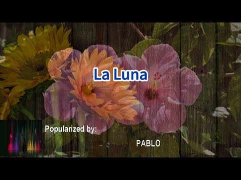 La Luna 38974 PABLO