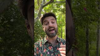 Fiji, Matteus Ricci