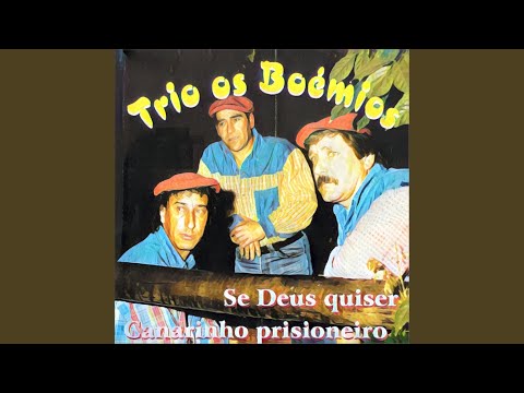 Canarinho Prisioneiro