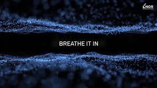 Neuroticfish - Invisible (Official Lyrics Video)