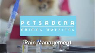 It’s Time To Talk About Pain Management