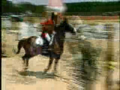 w22sports Destaque Esportivo 2007 - 1ª Copa Horse Star de Hipismo