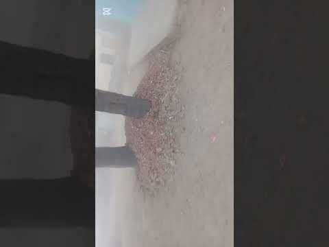 Sunday ko new animal a raha hai 🥳🥰😘😍