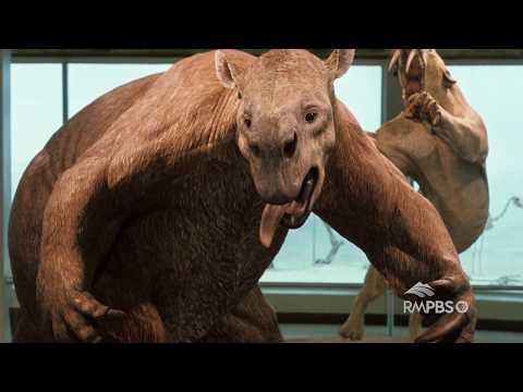 Colorado Experience: Paleo Indians