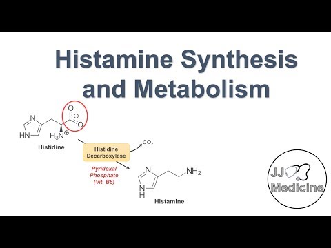 Overview of Glycolysis Basics for Beginners Biochemistry Lesson