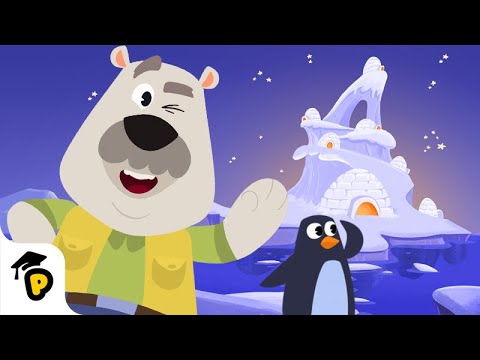 Leer dierengeluiden en vind Mr Penguin's familie! | Kinderfilmpjes | Dr. Panda TotoTime Nederlands