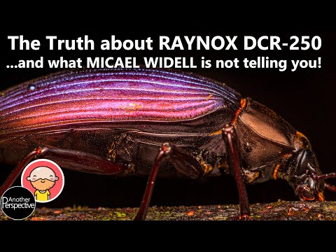 MICAEL WIDELL didn't tell You this CRUCIAL HACK in Macro Photography!