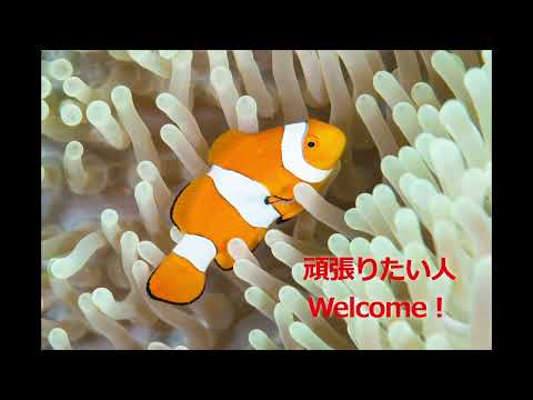 海洋生命科学コース（海洋資源科学科 ）