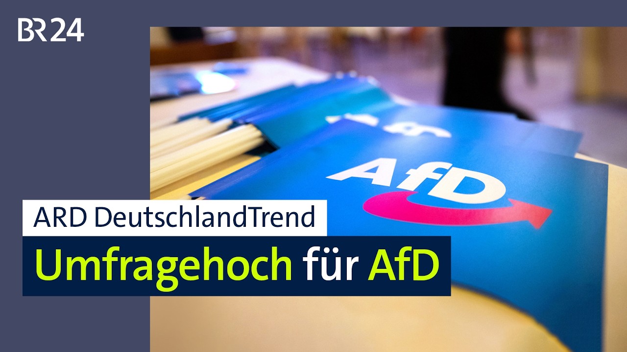 ARD DeutschlandTrend: Umfragehoch für AfD | BR24