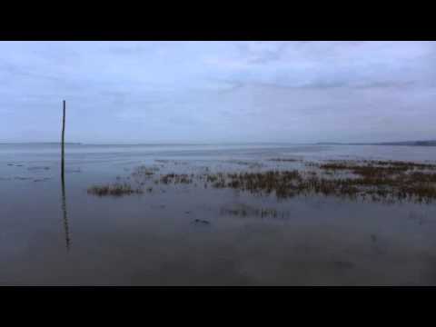 04 Chris Watson - Haefest [Touch]