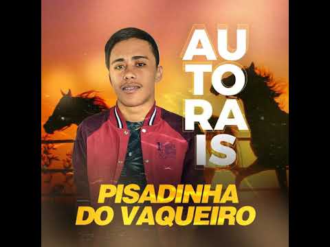 Play Boy Rural - Pisadinha Do Vaqueiro