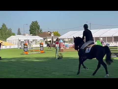KTO Terminator in Maubeuge 1.30m