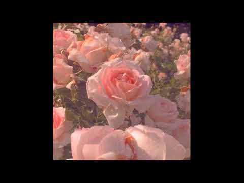 [free for profit] *ukulele* Juice WRLD x Joji Type Beat - "heaven"