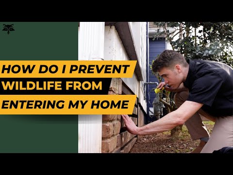 How do I prevent wildlife from entering my home? | Critter Control