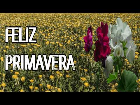 FELIZ DIA DE LA PRIMAVERA /VIDEO PARA REGALAR EN PRIMAVERA