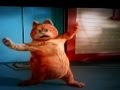 Garfield - i feel good 