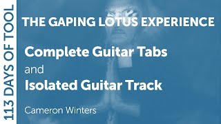 Tool - The Gaping Lotus Experience - Guitar Cover / Tabs / Isolated Guitar