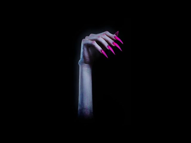 Kim Petras - In The Next Life (Acapella)