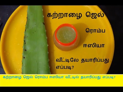 கற்றாழை ஜெல் ரொம்ப ஈஸியா வீட்டில் தயாரிப்பது எப்படி ?