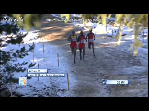 2014 European Cross Country Championships, senior men race