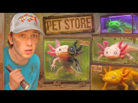 I Found an Abandoned Axolotl Pet Store...