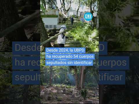🕊️ Bajo tierra aún permanecen historias que esperan ser esclarecidas.