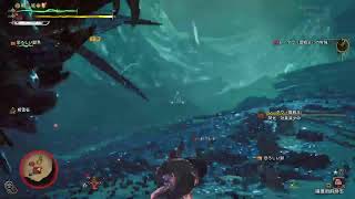 【MHWilds】王レダウの練習