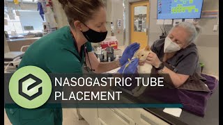 Nasogastric Tube Placement